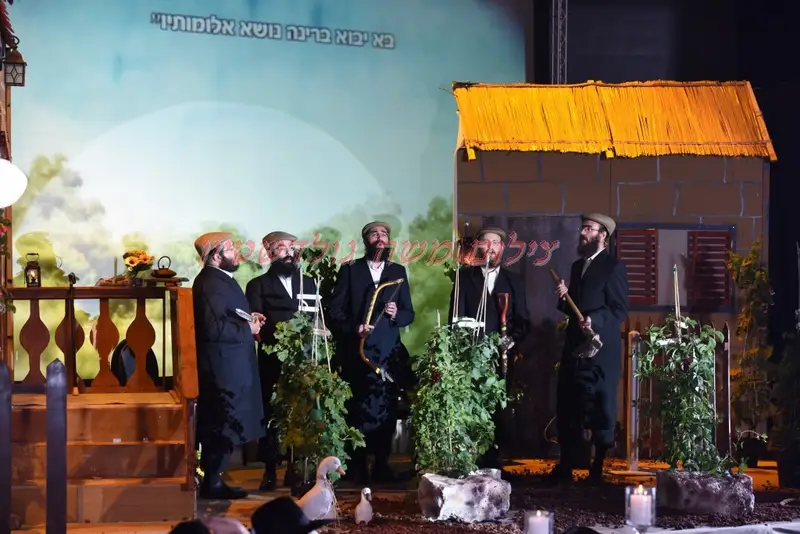 נרננה צאנז