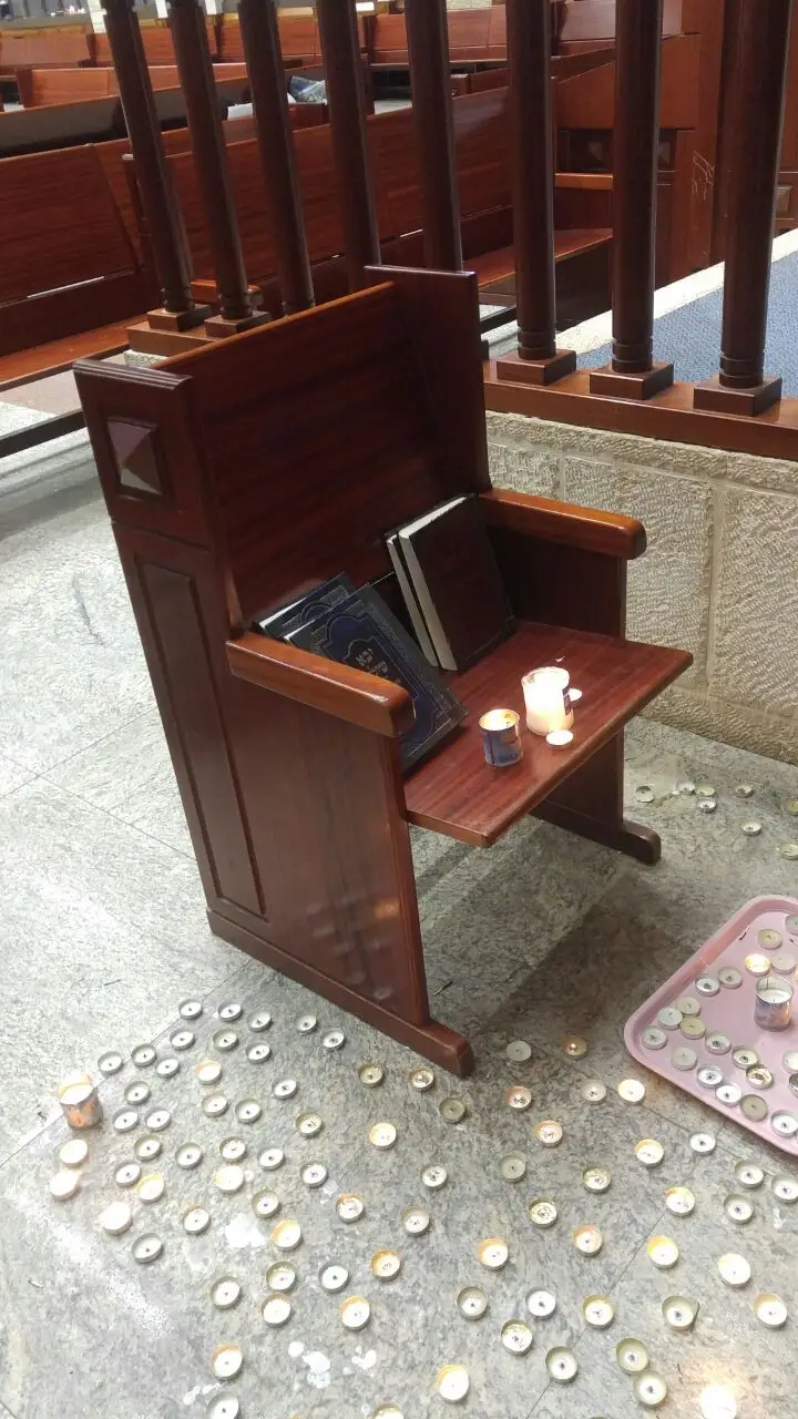 רבי אריה פינקל (14)