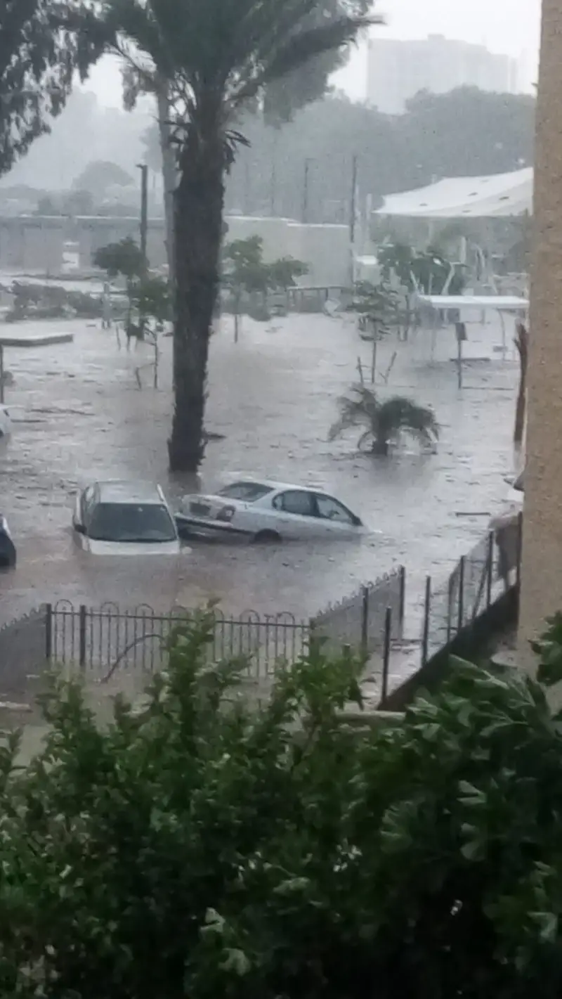 שדרותת