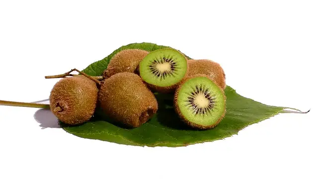 קיוי קיוי עסיסי
