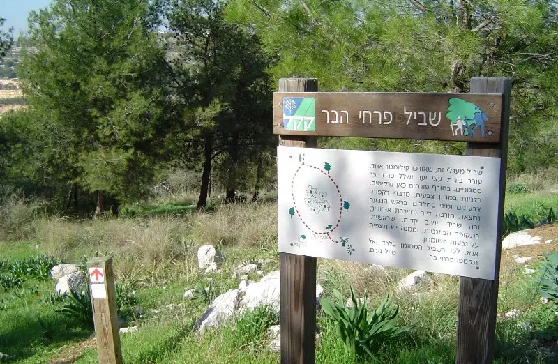 שביל הפריחה 006