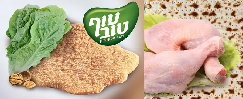 תמונה2