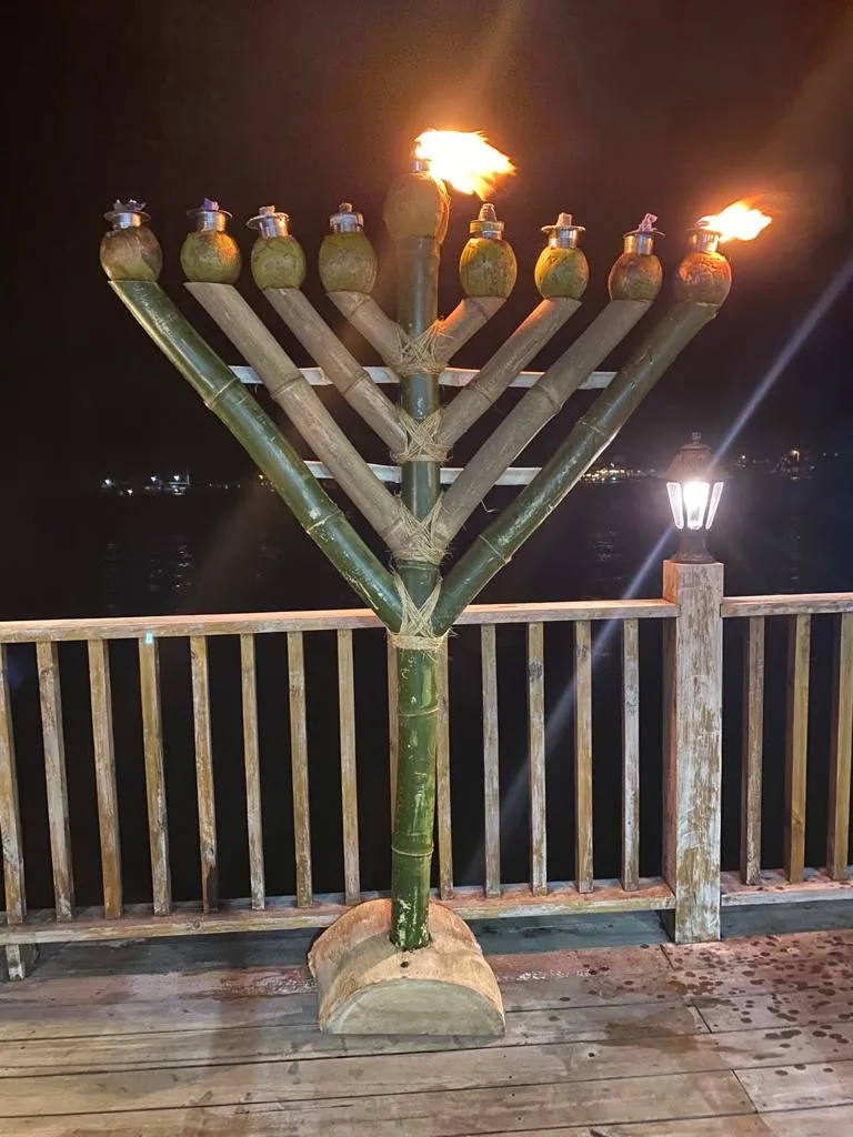 הבחורים בפנמה עשו חנוכיה מעצי במבוק