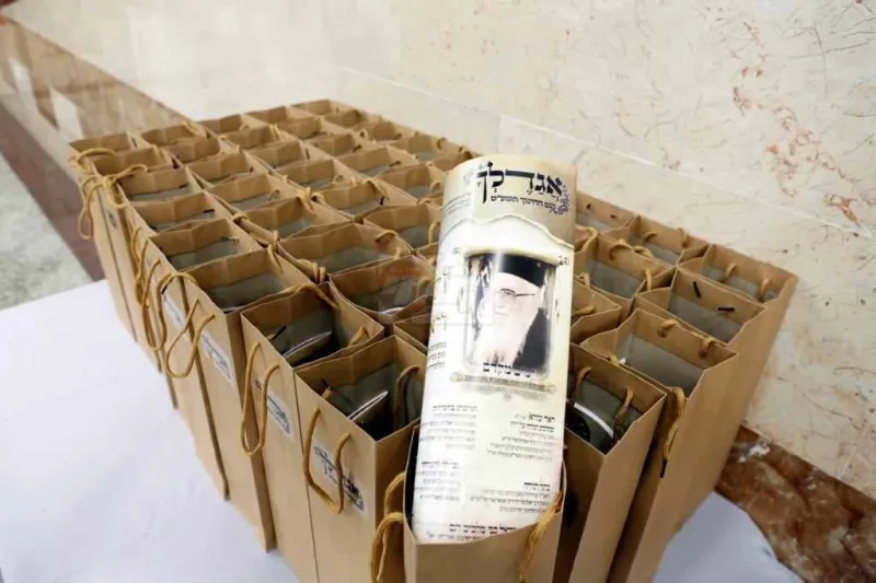 אגדלך צילום קובי הר צבי (16)
