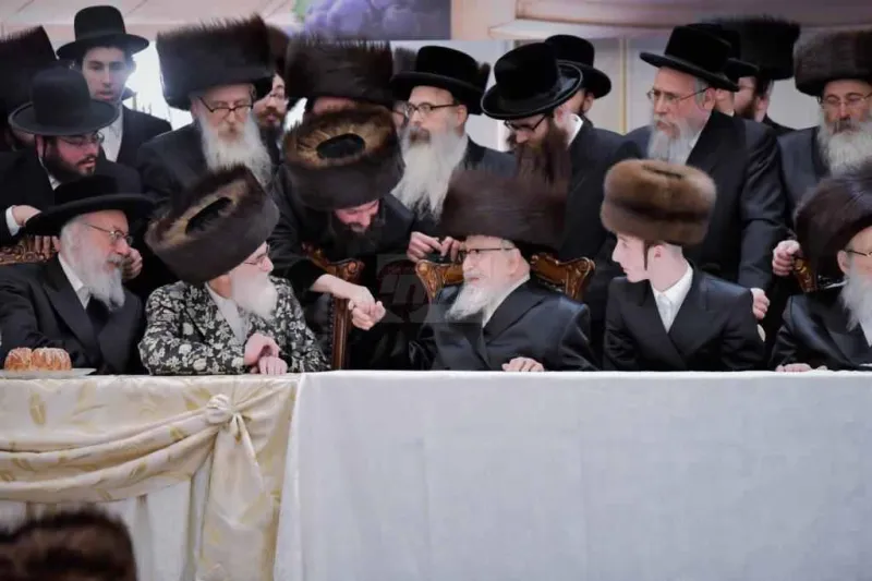 אירוסין ויז'ניץ צילום יהושע פרוכטר (14)