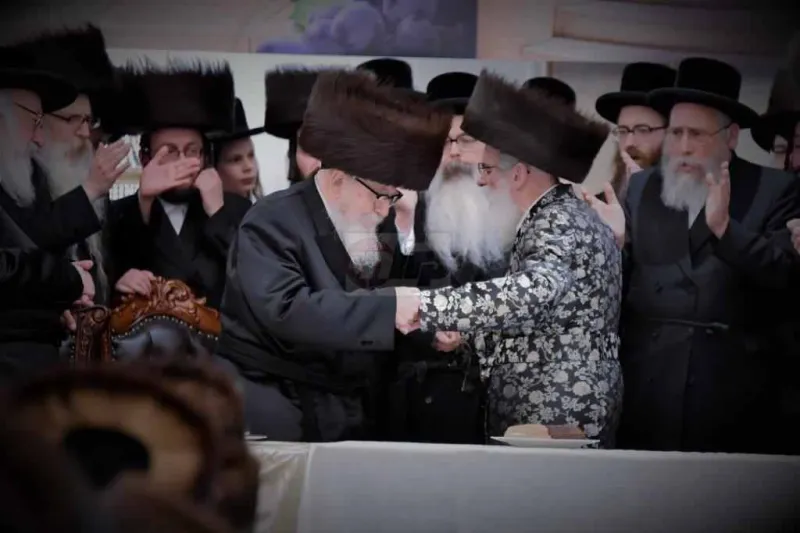 אירוסין ויז'ניץ צילום יהושע פרוכטר (20)
