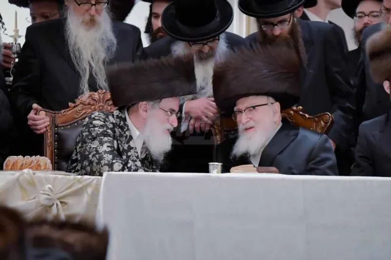 אירוסין ויז'ניץ צילום יהושע פרוכטר (23)