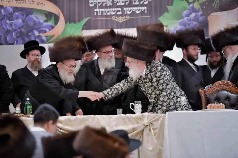אירוסין ויז'ניץ צילום יהושע פרוכטר (30)