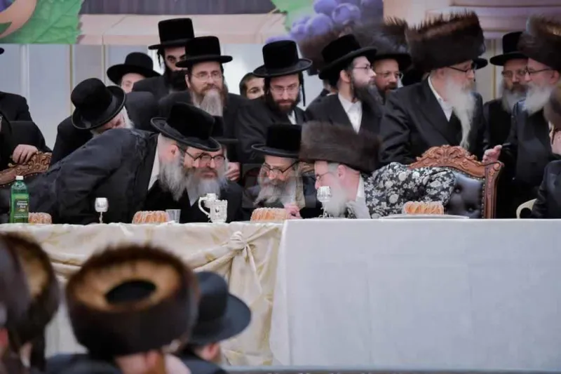 אירוסין ויז'ניץ צילום יהושע פרוכטר (32)