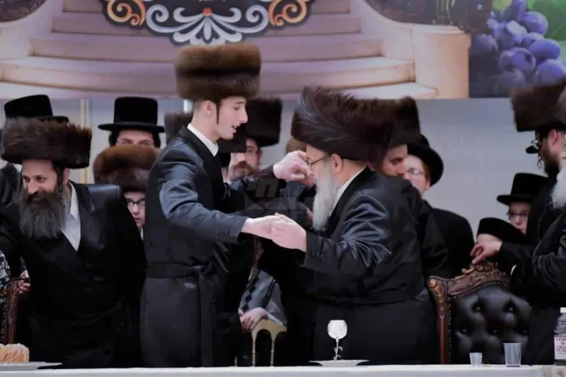 אירוסין ויז'ניץ צילום יהושע פרוכטר (38)