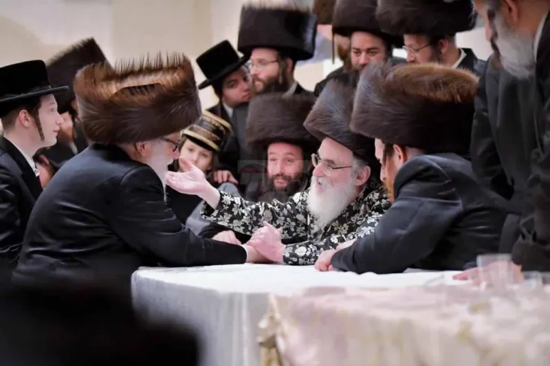 אירוסין ויז'ניץ צילום יהושע פרוכטר (49)