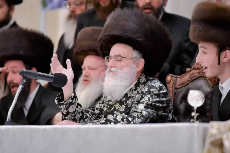 אירוסין ויז'ניץ צילום יהושע פרוכטר (7)