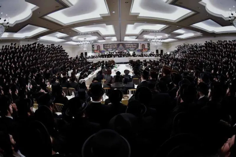 אירוסין ויז'ניץ צילום יהושע פרוכטר (8)