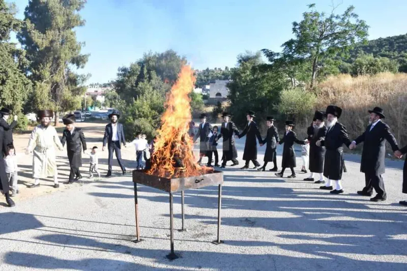 אשלג במירון צילום יהודה פרקוביץ (3)