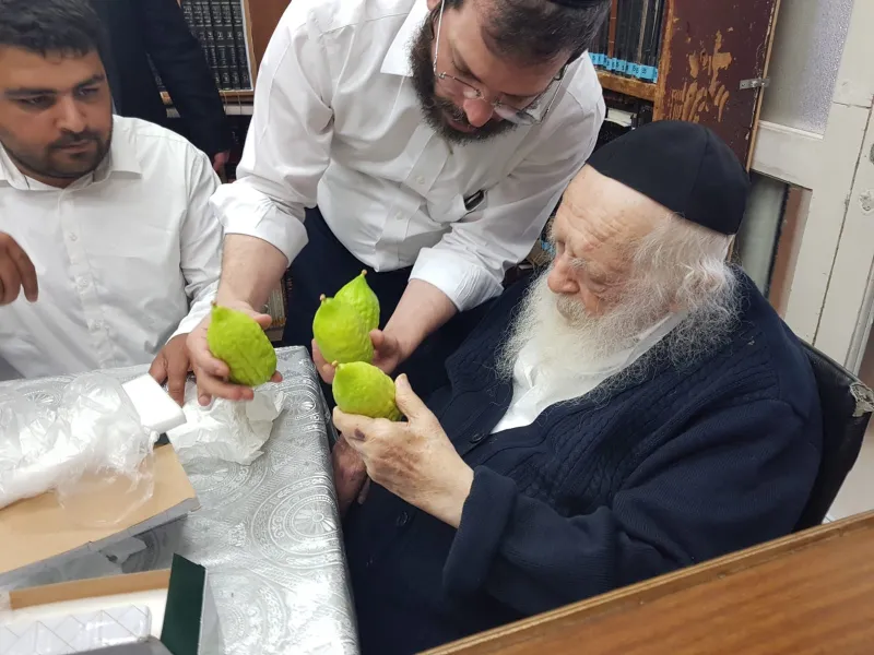 אתרוגים ר' חיים (2)