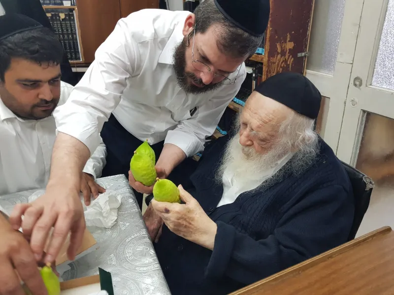 אתרוגים ר' חיים (3)