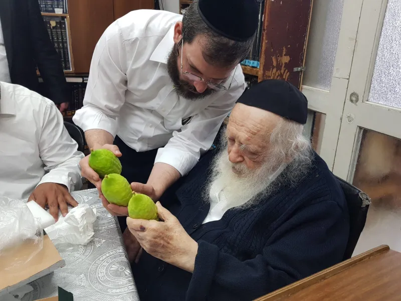 אתרוגים ר' חיים (5)