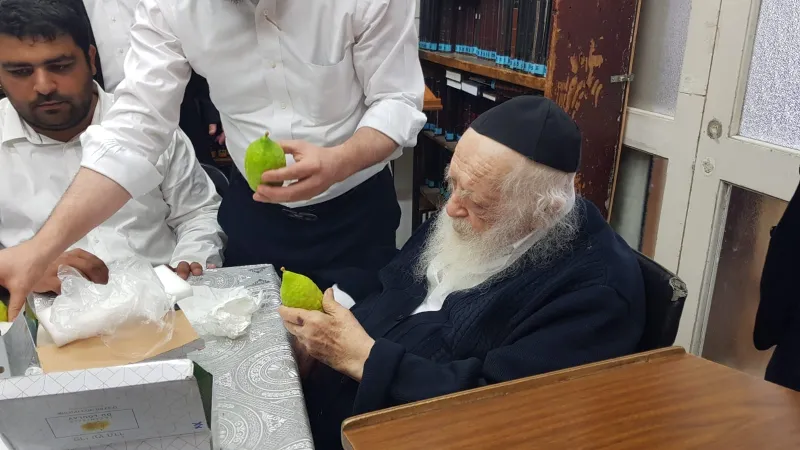 אתרוגים ר' חיים (6)