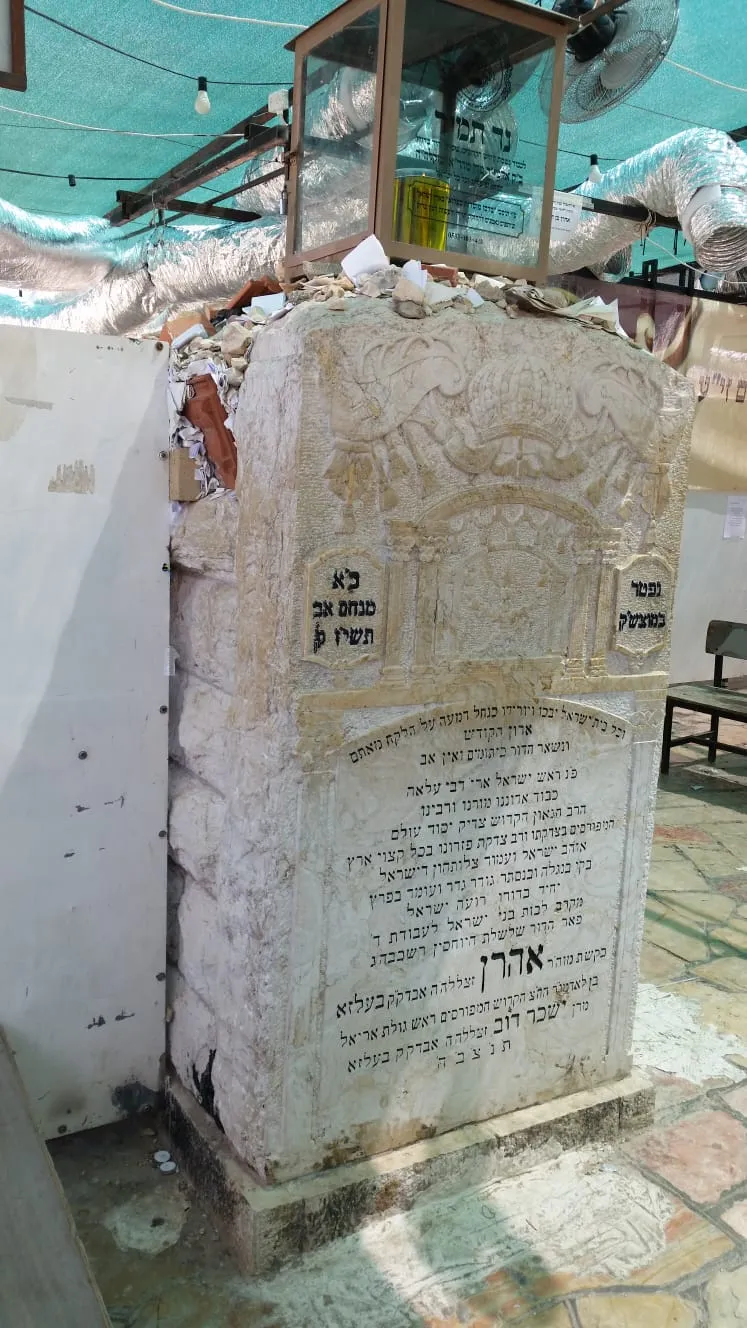 בעלזא ציון האדמור
