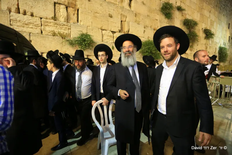 דוד_זר_ב_(20)
