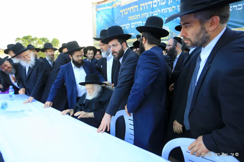 דוד_זר_(3)