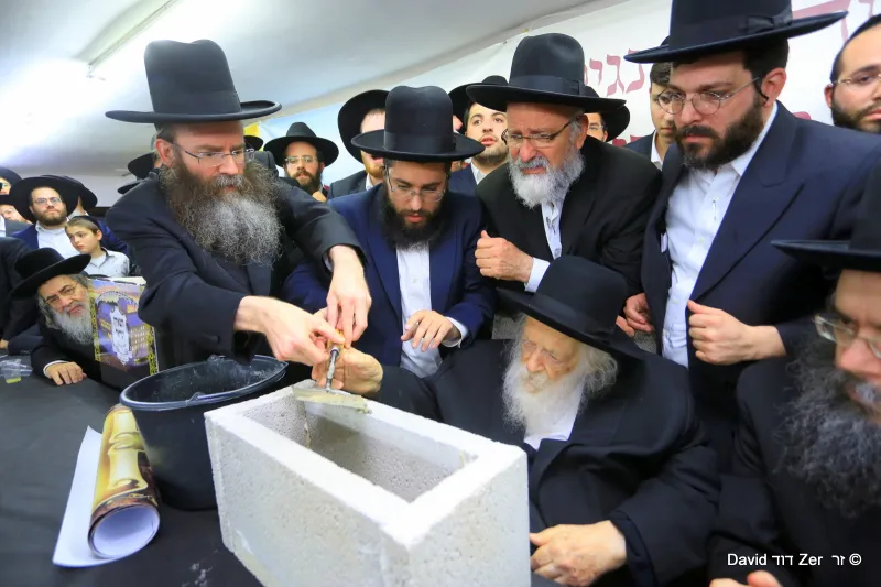 דוד_זר_(53)