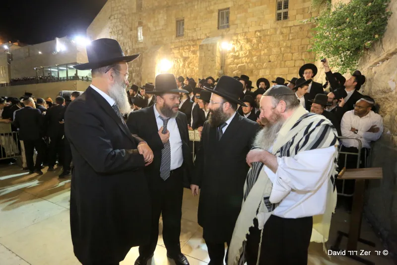 דוד_זר_(65)