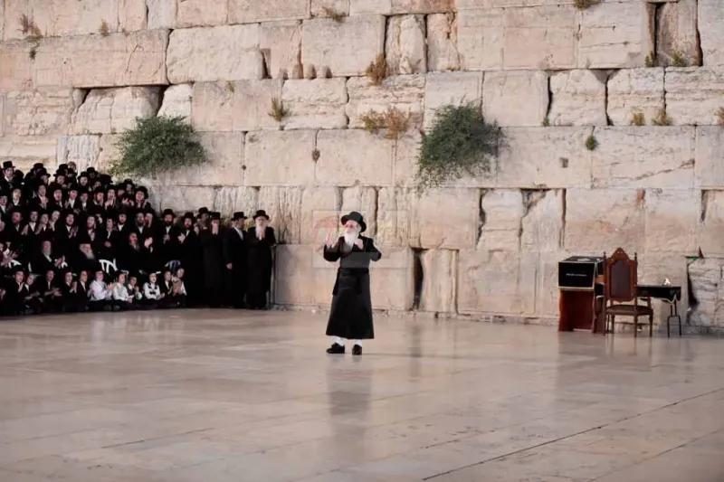 האדמו''ר מויז'ניץ בכותל צילום יהושע פרוכטר (13)
