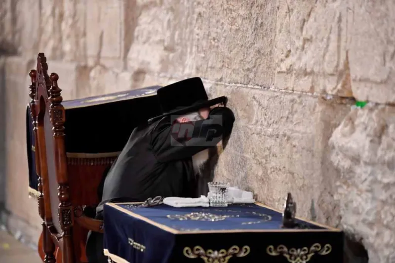 האדמו''ר מויז'ניץ בכותל צילום יהושע פרוכטר (19)