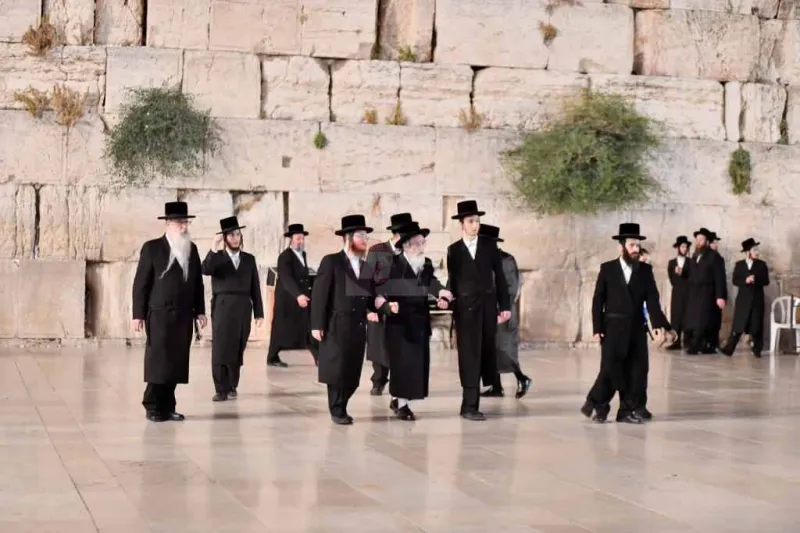 האדמו''ר מויז'ניץ בכותל צילום יהושע פרוכטר (21)