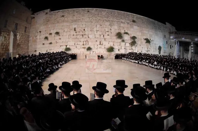 האדמו''ר מויז'ניץ בכותל צילום יהושע פרוכטר (5)