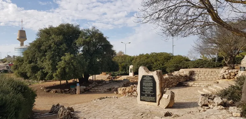 האלון הבודד