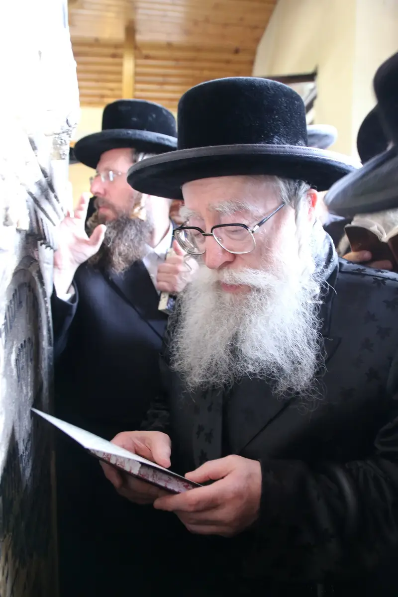 ההילולא בקרעסטירר צילום שלומי טריכטר (21)