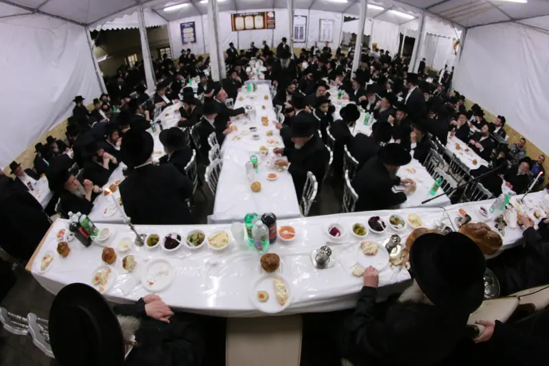 ההילולא בקרעסטירר צילום שלומי טריכטר (32)