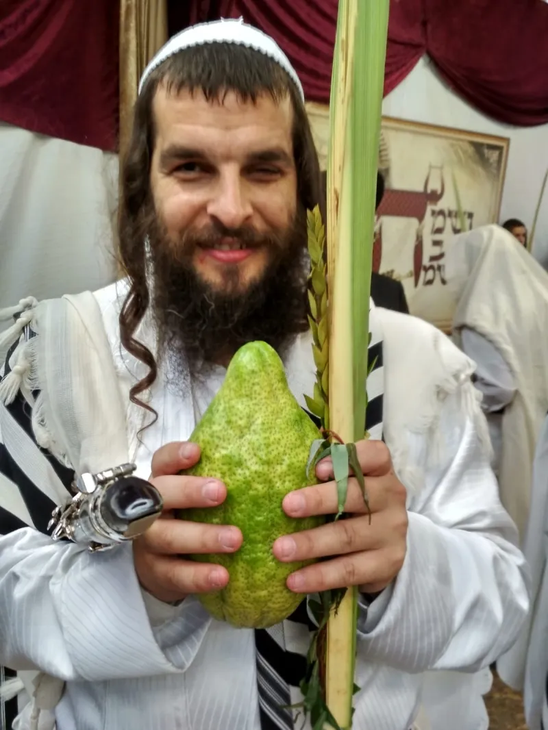 הושענא רבה קבר דוד המלך (1)