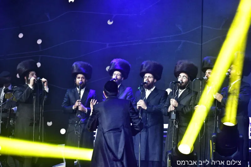 הזיץ הגדול אברמס 19