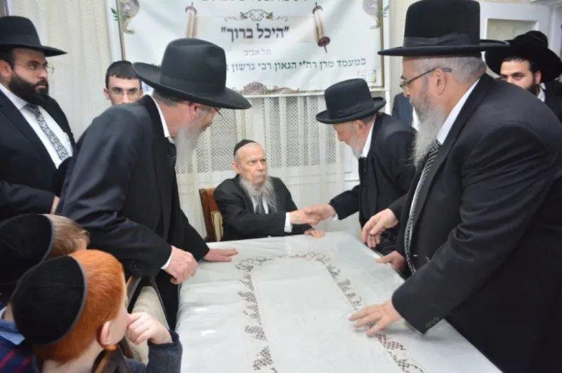 היכל ברוך דרום תל אביב (5)