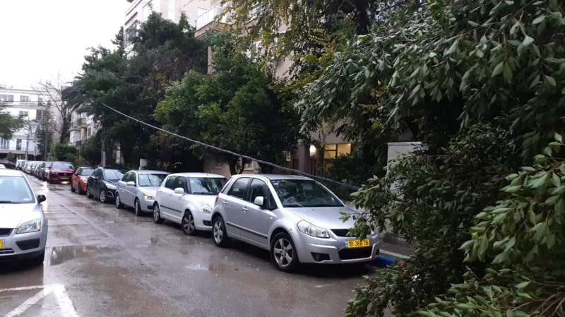 חוני המעגל תל אביב 1