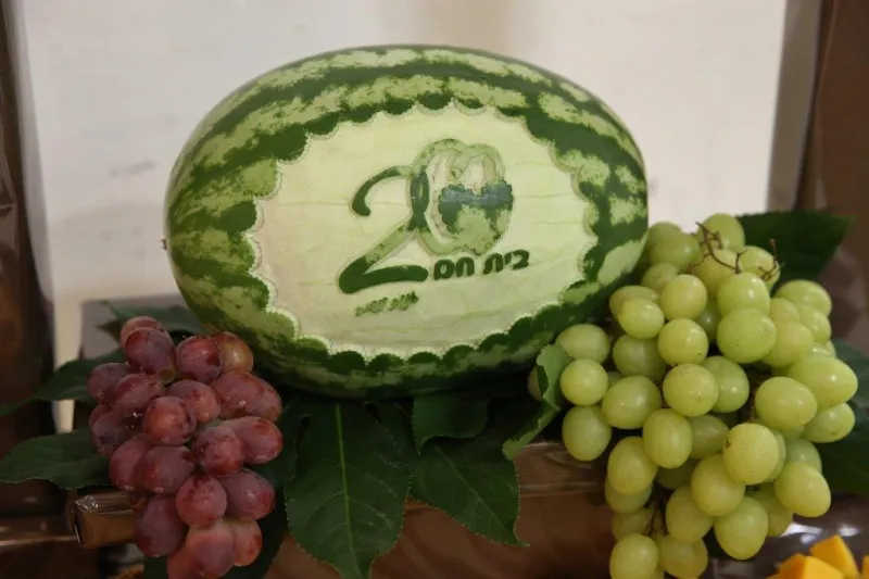 חתונה אריה מונק בית חם צילום יעקב כהן (2)