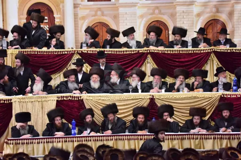 חתונה ויז'ניץ צילום יהושע פרוכטר (105)