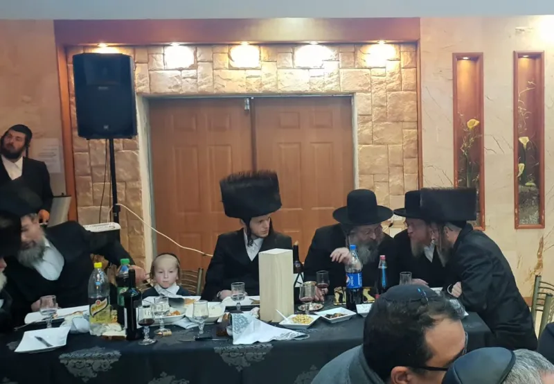 טסלר (11)