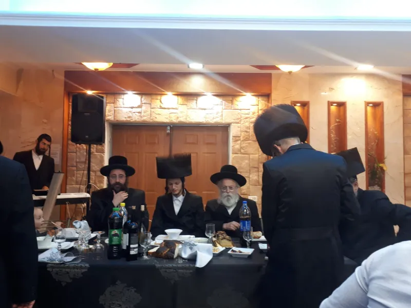 טסלר (8)
