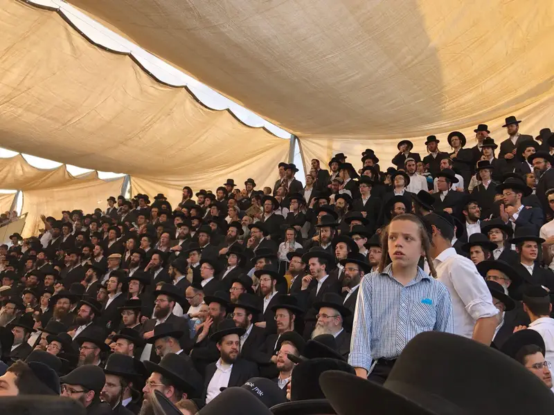 מוזגיץ מירון