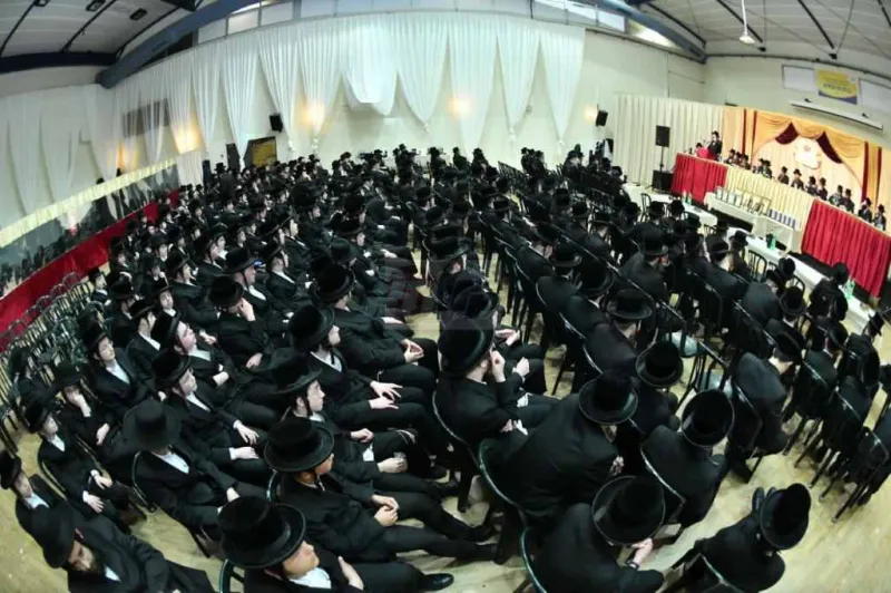 מכנובקא בעלזא אלעד צילום משה גולדשטיין (3)