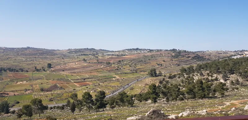 מצפור ארי