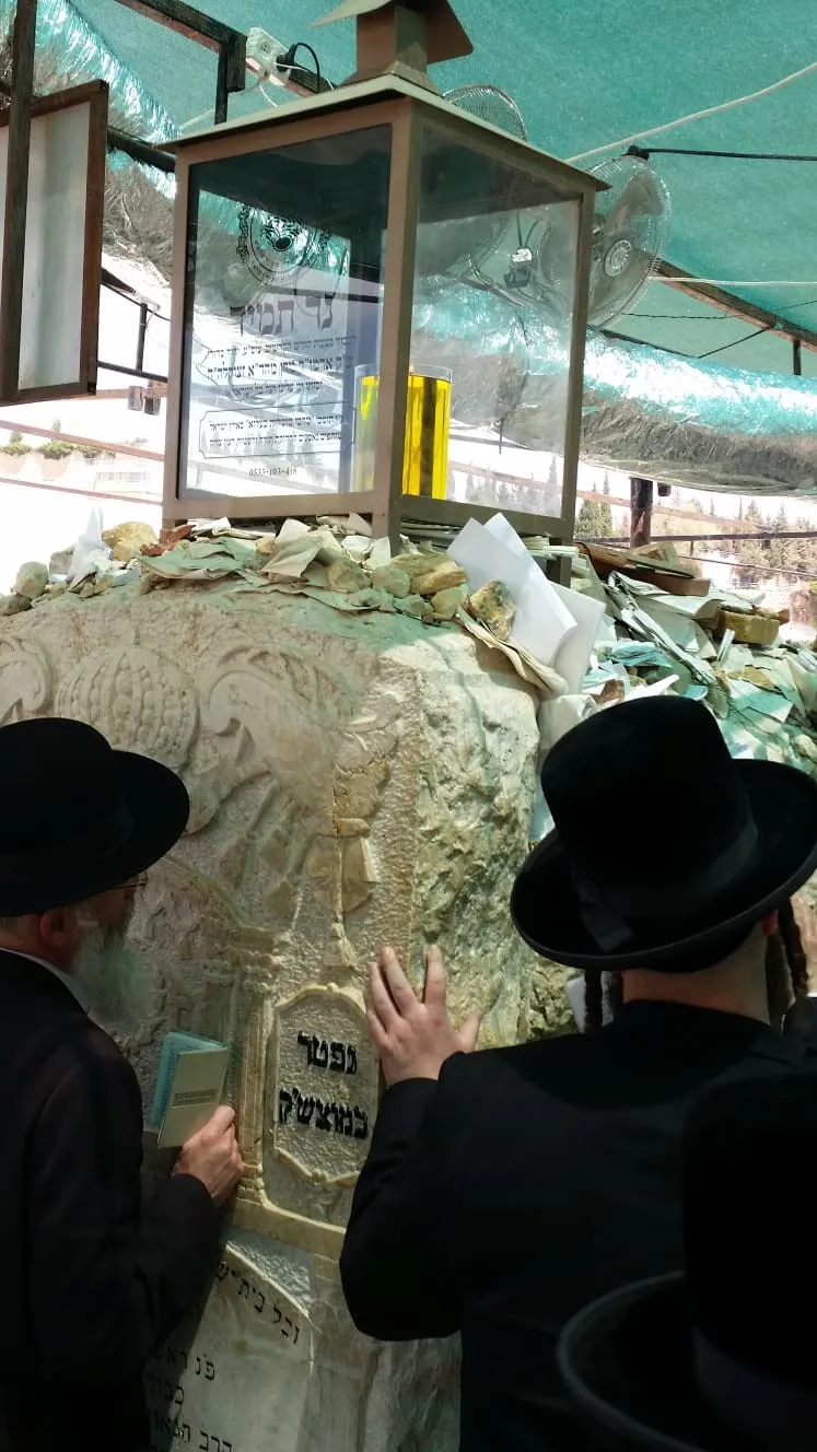 מתפללים ציון האדמור מבעלזא