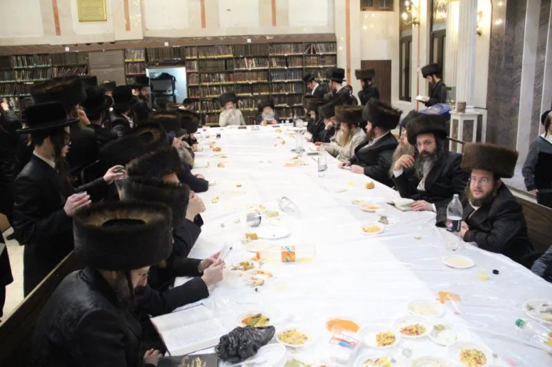נדבורנה צפת צילום דוד קשת (1)