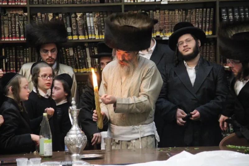 נדבורנה צפת צילום דוד קשת (11)