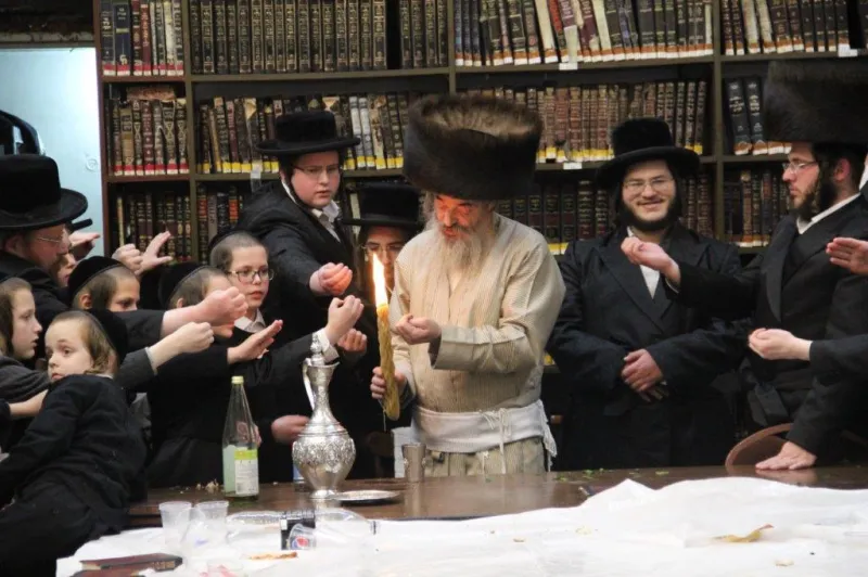 נדבורנה צפת צילום דוד קשת (12)