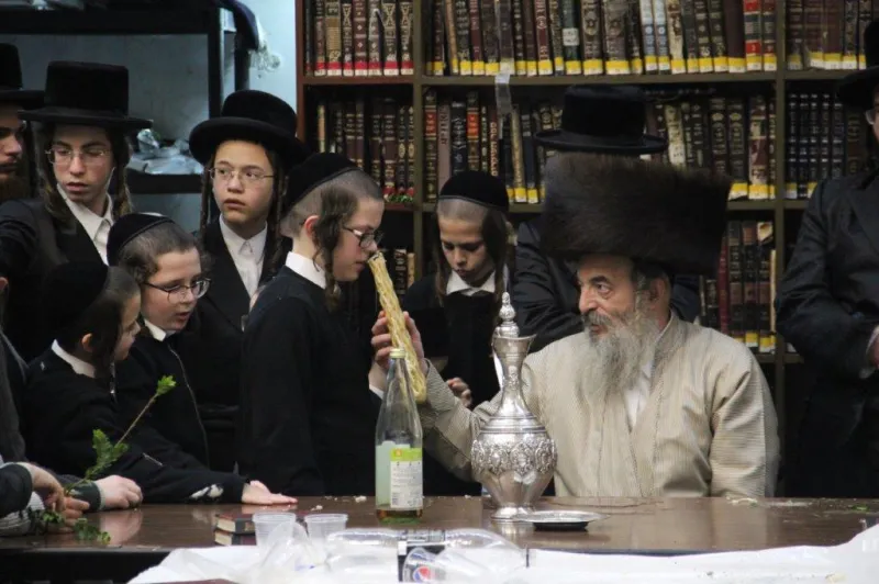 נדבורנה צפת צילום דוד קשת (14)